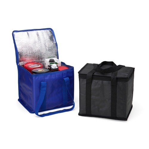 Bolsa Térmica 12 Litros-02697